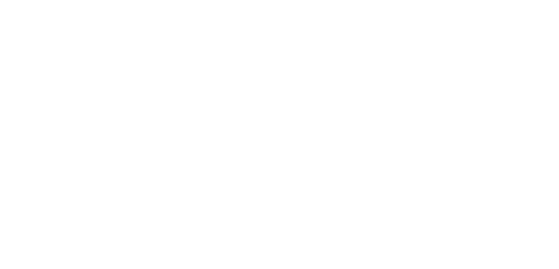 Disability Confident Leader logo